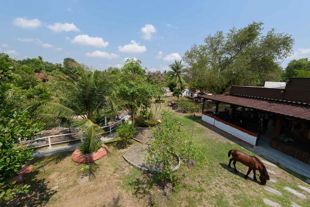 Cowboy Farm Resort Pattaya Ban Huai Yai Exteriér fotografie