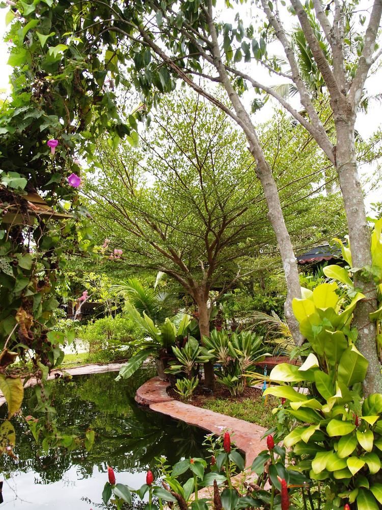 Cowboy Farm Resort Pattaya Ban Huai Yai Exteriér fotografie